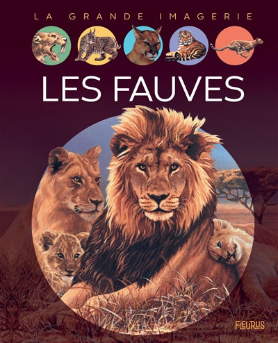 FAUVES  N.E.