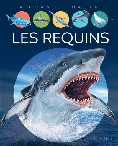 REQUINS