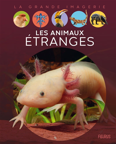 ANIMAUX ETRANGES