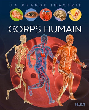 CORPS HUMAIN  N.E.