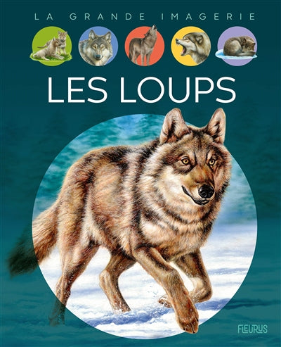 LOUPS  N.E.