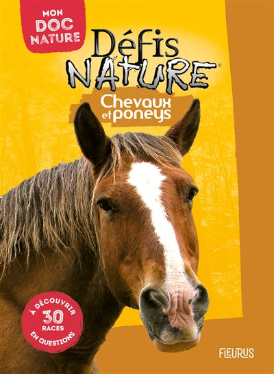 CHEVAUX ET PONEYS