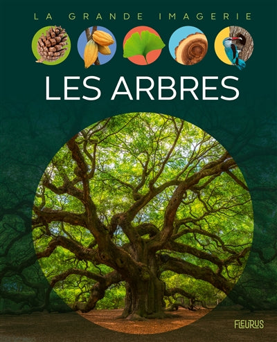 ARBRES  N.E.