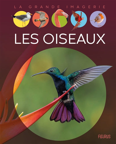 OISEAUX