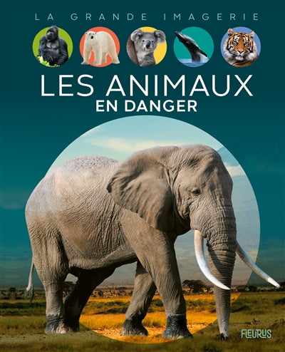 ANIMAUX EN DANGER  N.E.