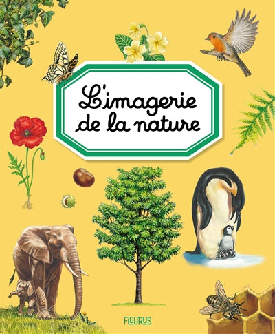 IMAGERIE DE LA NATURE