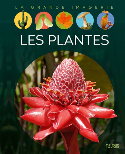 PLANTES