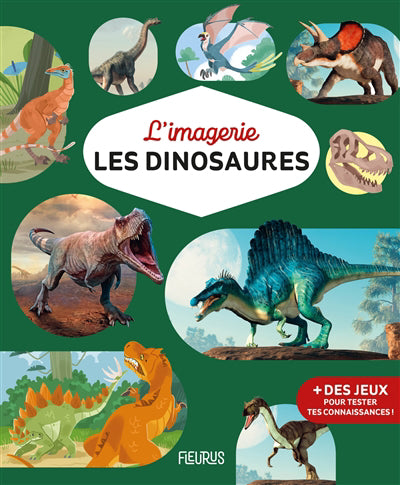 IMAGERIE  LES DINOSAURES