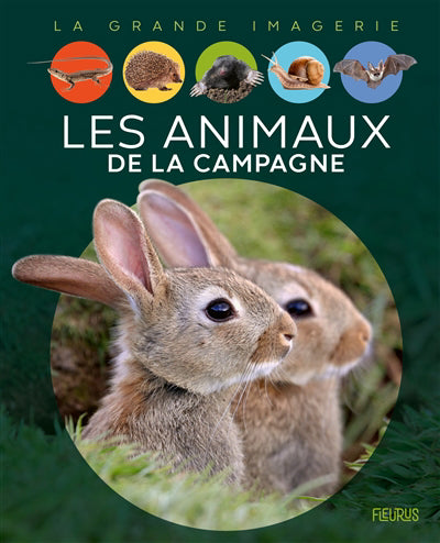 ANIMAUX DE LA CAMPAGNE