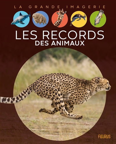 RECORDS DES ANIMAUX