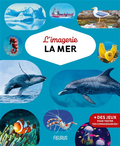 IMAGERIE LA MER