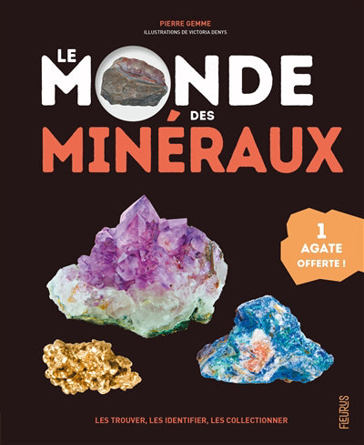 MONDE DES MINERAUX LES TROUVER, LES IDENTIFIER, LES COLL