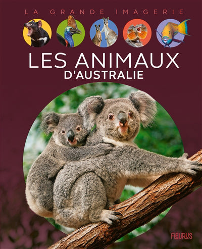 ANIMAUX D'AUSTRALIE