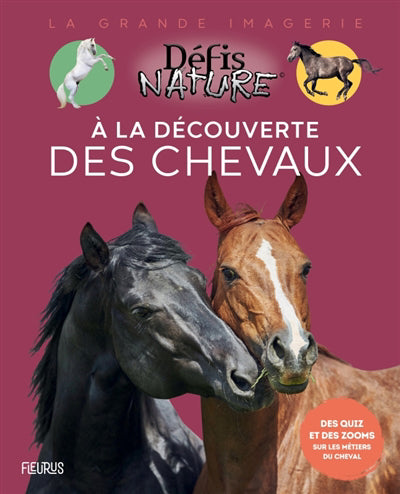 A LA DECOUVERTE DES CHEVAUX