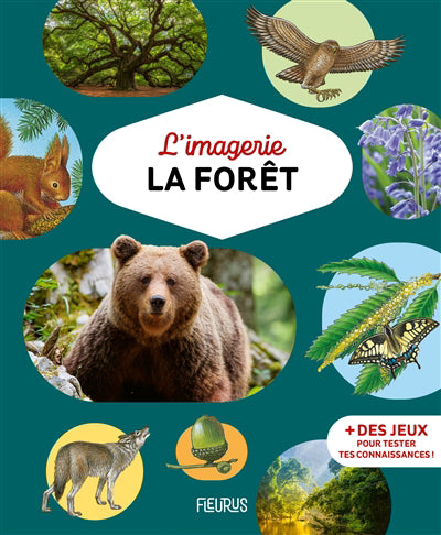 IMAGERIE   LA FORET