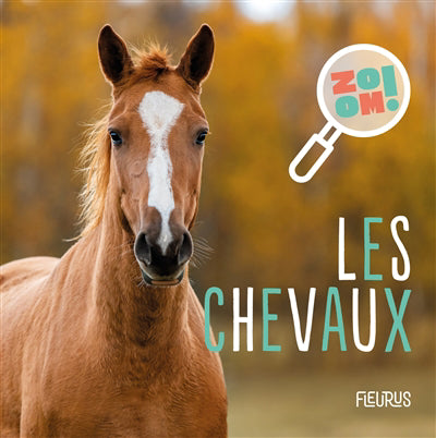 CHEVAUX