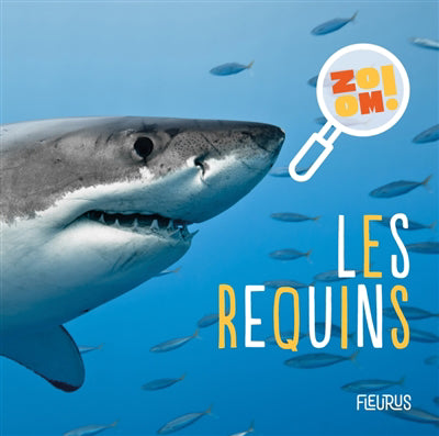 REQUINS