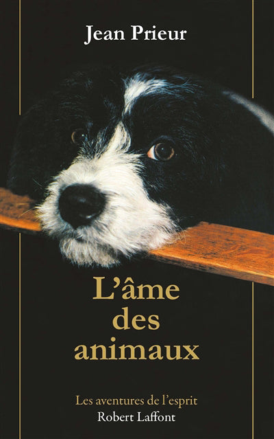 Ame des animaux  N.E.