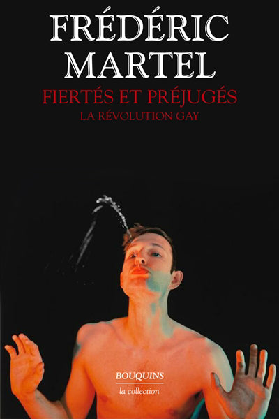 FIERTES ET PREJUGES : LA REVOLUTION GAY