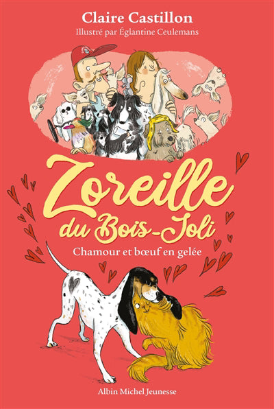 CHAMOUR ET BOEUF EN GELEE T02