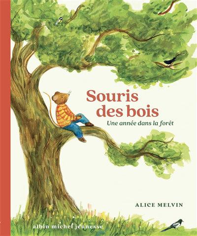 SOURIS DES BOIS -UNE ANNEE DANS LA FORET