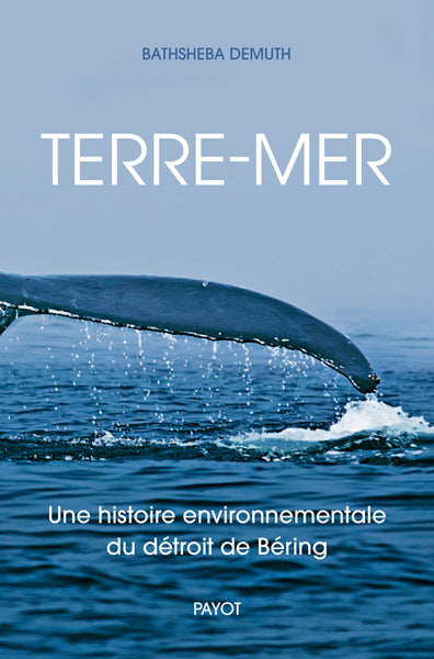 TERRE-MER (TP) - UNE HISTOIRE ENVIRONNEMENTALE DU DETROIT DE BEIR