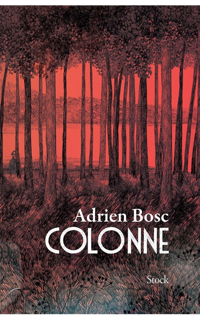 COLONNE