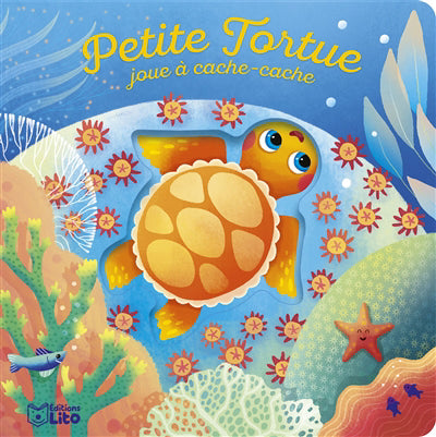 PETITE TORTUE JOUE A CACHE-CACHE