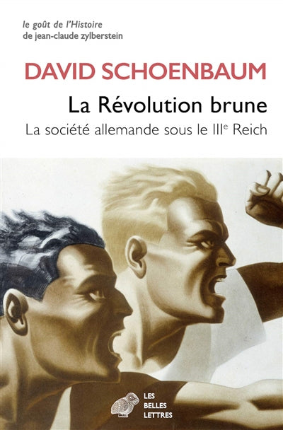 Révolution brune