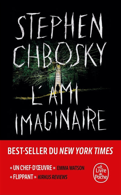 AMI IMAGINAIRE
