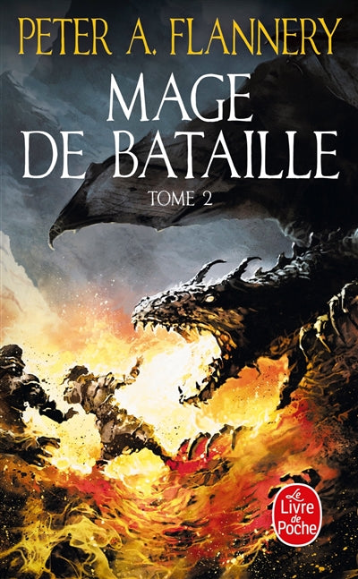 MAGE DE BATAILLE T02