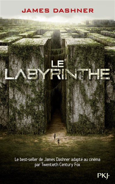 EPREUVE T1 -LE LABYRINTHE