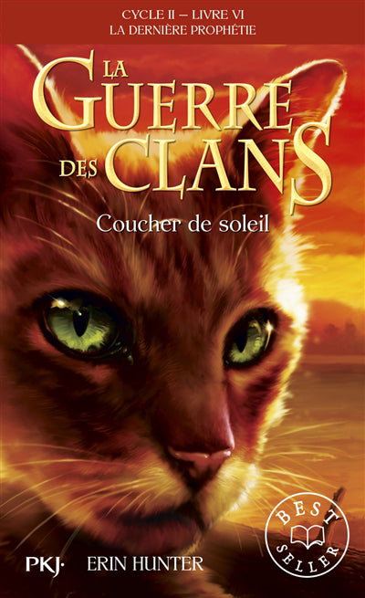GUERRE DES CLANS - CYCLE II LA DERNIERE PROPHETIE - TOME 6 COU