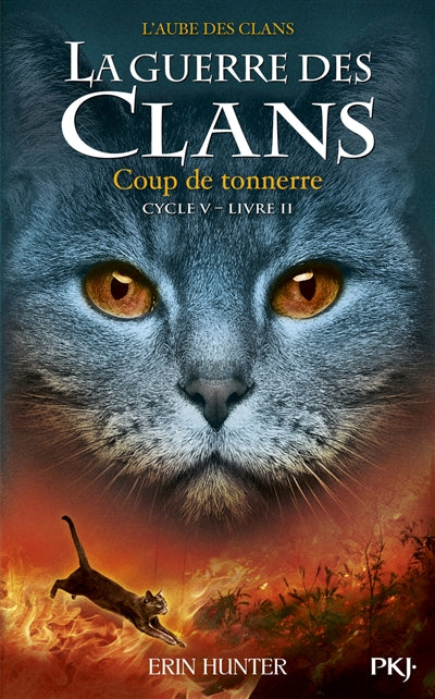 GUERRE DES CLANS - CYCLE V L'AUBE DES CLANS - TOME 2 COUP DE T