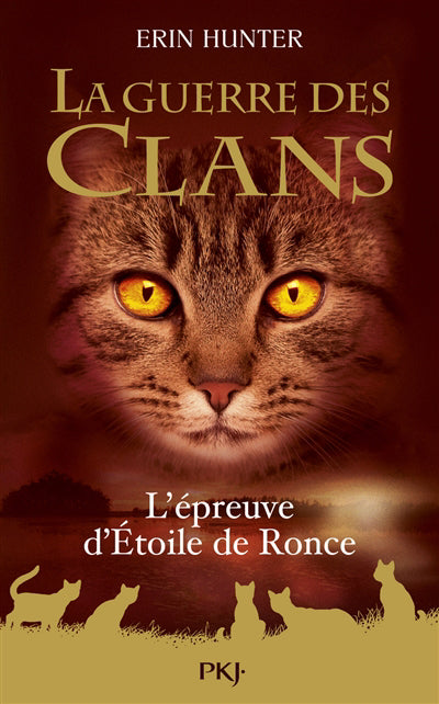 GUERRE DES CLANS - L'EPREUVE D'ETOILE DE RONCE- HORS-SERIE