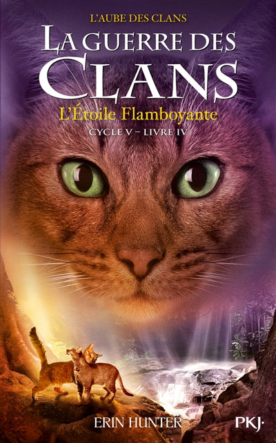 GUERRE DES CLANS CYCLE V - TOME 4 L'ETOILE FLAMBOYANTE
