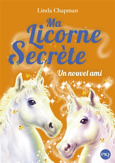 MA LICORNE SECRETE T.06 : UN NOUVEL AMI