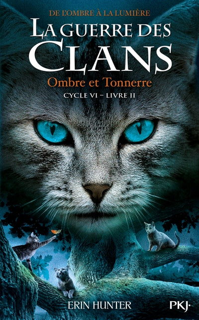 GUERRE DES CLANS DE L'OMBRE A LA LUMIERE VI T.02 : OMBRE ET TONNE