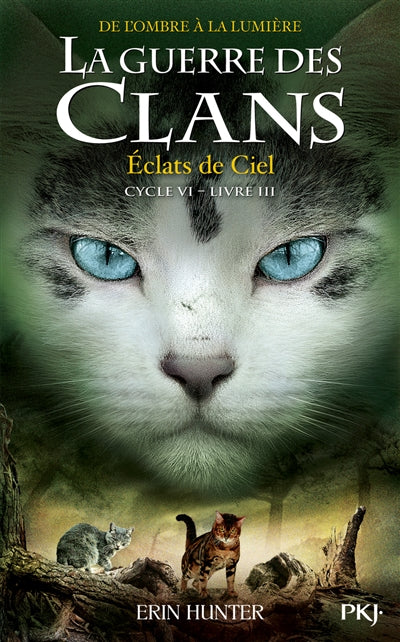GUERRE DES CLANS, CYCLE VI - TOME 3 ECLATS DANSLE CIEL