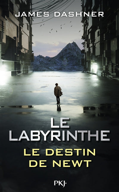 LABYRINTHE : LE DESTIN DE NEWT