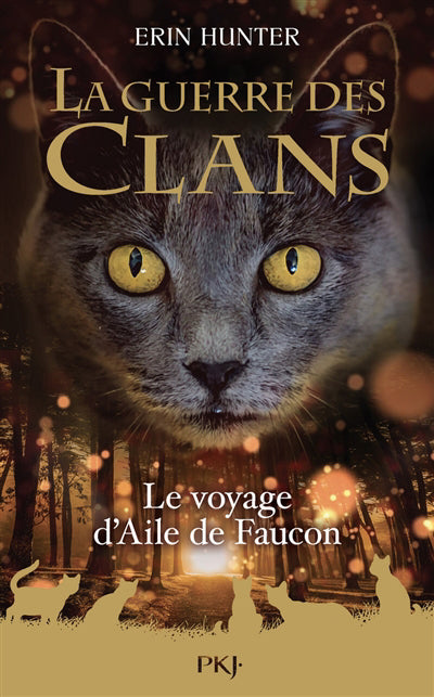 GUERRE DES CLANS HS - TOME 09 : LE VOYAGE D'AILE DE FAUCON
