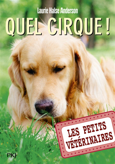 PETITS VETERINAIRES - TOME 25 QUEL CIRQUE !