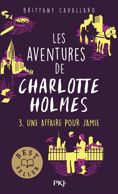 AVENTURES DE CHARLOTTE HOLMES T.03 : UNE AFFAIRE POUR JAMIE