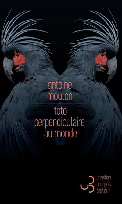 TOTO PERPENDICULAIRE AU MONDE