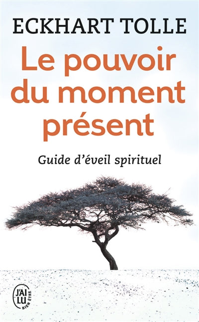 POUVOIR DU MOMENT PRESENT