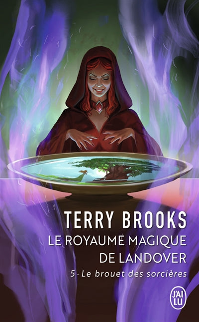 ROYAUME MAGIQUE DE LANDOVER  T.05 : LE BROUET DES SORCIERES