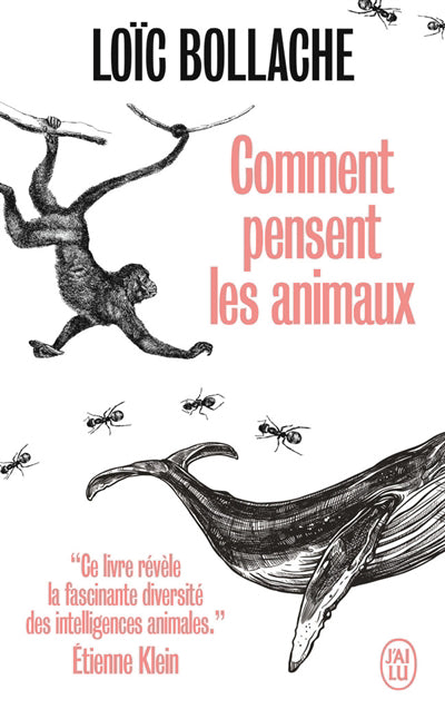 COMMENT PENSENT LES ANIMAUX