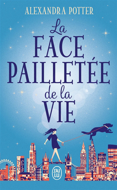 FACE PAILLETEE DE LA VIE