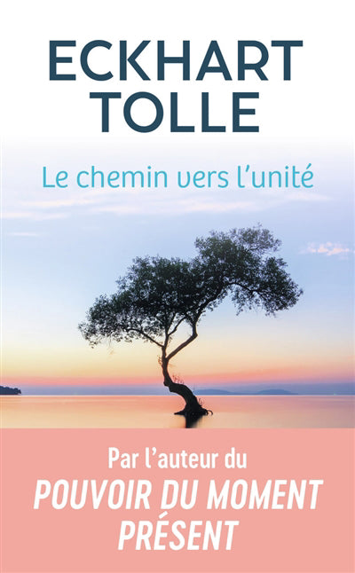 CHEMIN VERS L'UNITE