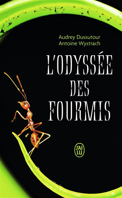 ODYSSEE DES FOURMIS